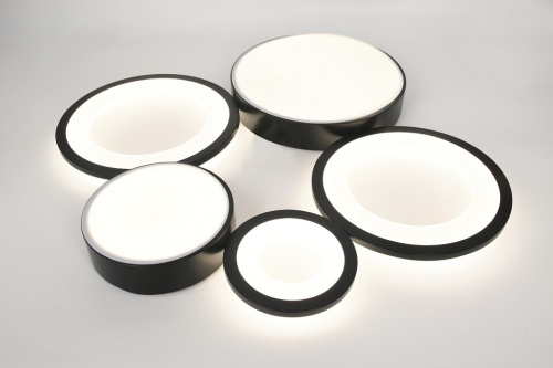 Потолочная люстра Rivoli Aliona Б0066468 в Нижнем Новгороде фото 11