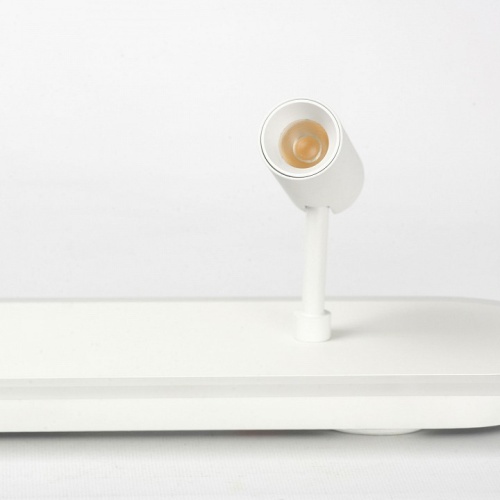 Накладной светильник LGO Harris LSP-7278 в Нижнем Новгороде фото 4