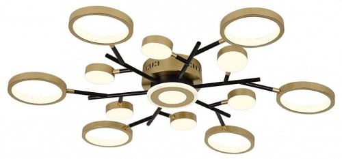 Потолочная люстра F-promo Hybrid 4686-13C в Нижнем Новгороде фото 9