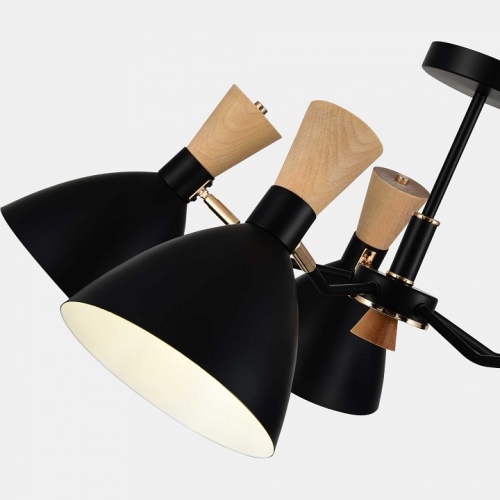 Люстра на штанге EVOLUCE VISTA SLE1256-402-05 в Нижнем Новгороде фото 2