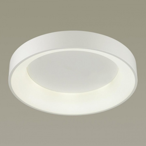 Накладной светильник Odeon Light Sole 4066/40CL в Яранске фото 2