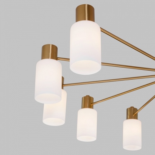 Потолочная люстра Eurosvet Vegga 70160/12 латунь Smart в Нижнем Новгороде фото 5