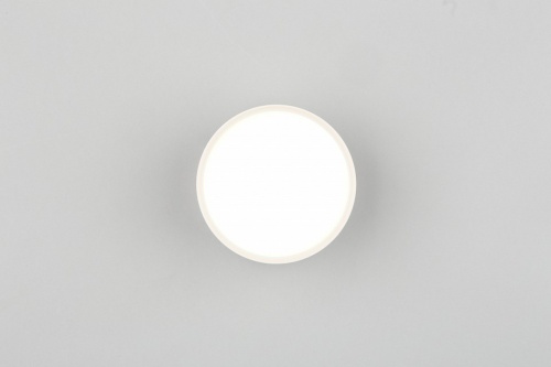Накладной светильник Omnilux Abano OML-103309-06 в Липецке фото 4