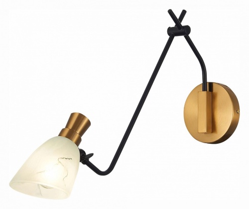 Бра EVOLUCE Lita SLE205401-01 в Нижнем Новгороде фото 5