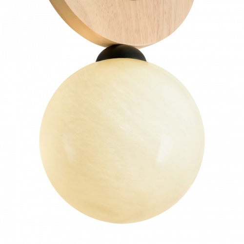 Подвесной светильник Freya Irisa FR5593PL-01B1 в Нижнем Новгороде фото 2