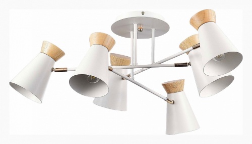 Потолочная люстра EVOLUCE Alfeo SLE1252-502-06 в Нижнем Новгороде фото 6