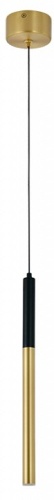 Подвесной светильник Newport 15000 15110/S brass в Нижнем Новгороде фото 2