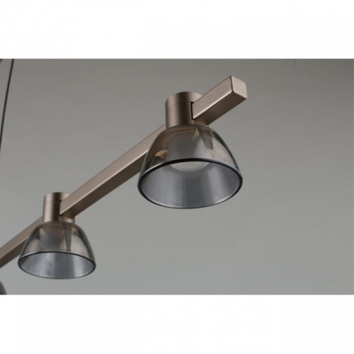 Подвесной светильник Aployt Rezeda APL.788.03.06 в Нижнем Новгороде фото 16