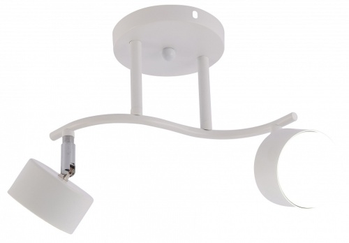 Спот Rivoli Batty 7080-702 в Нижнем Новгороде фото 2