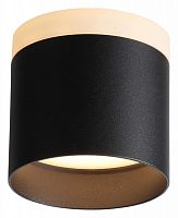 Накладной светильник ST-Luce Panaggio ST102.402.09 в Нижнем Новгороде