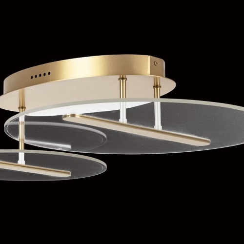 Светильник на штанге Lightstar Acrile 738053 в Нижнем Новгороде фото 2