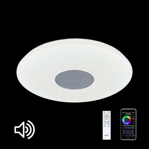 Накладной светильник Citilux Light & Music CL703M60 в Радужном фото 4
