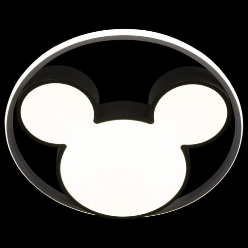 Накладной светильник Loft it Mike 10165 в Нижнем Новгороде фото 3