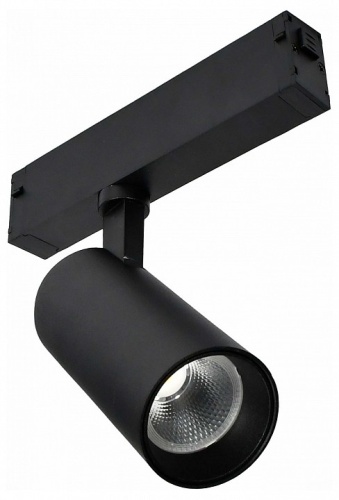 Светильник на штанге ST-Luce SKYLINE 220 ST660.436.10H в Нижнем Новгороде