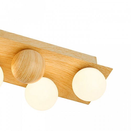 Потолочная люстра F-promo Swarm 4695-5C в Нижнем Новгороде фото 2