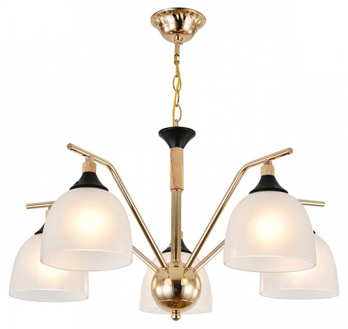 Подвесная люстра Escada Actinidia 2123/5P в Нижнем Новгороде фото 6