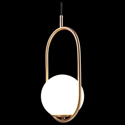 Подвесной светильник Loft it Glob LOFT2595-A в Нижнем Новгороде фото 6