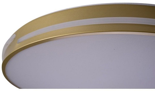 Накладной светильник Zortes Gabby ZRS.90610.50 в Нижнем Новгороде фото 5