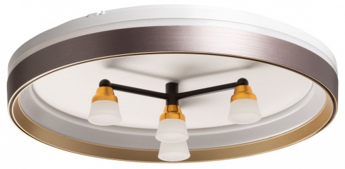 Потолочная люстра De City Семья 66 660014701 в Нижнем Новгороде