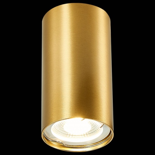 Накладной светильник ST-Luce ST110 ST110.207.01 в Нижнем Новгороде фото 2