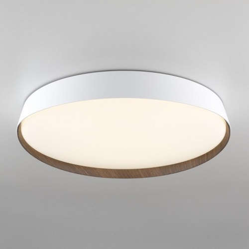 Накладной светильник Citilux BONNY CL754450G в Нижнем Новгороде фото 12