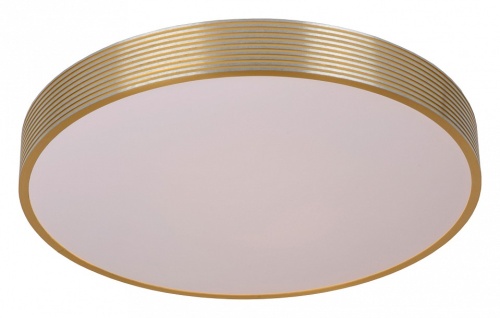 Накладной светильник Lucide Malin 79184/24/02 в Нижнем Новгороде фото 5