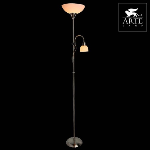 Торшер с подсветкой Arte Lamp Duetto A9569PN-2SS в Ермолино фото 3