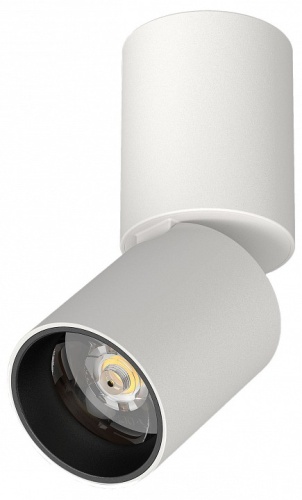 Светильник на штанге Lightstar Volta CCT 227006 в Нижнем Новгороде