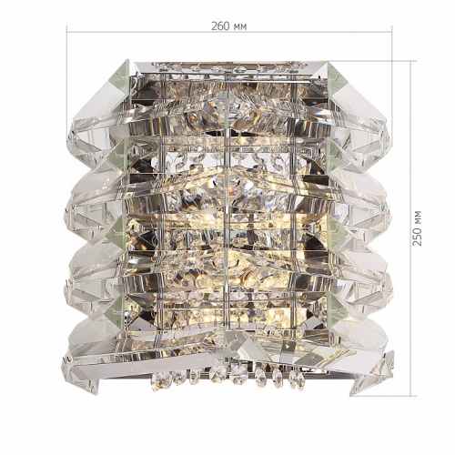Накладной светильник ST-Luce STROZZI SL6137.101.02 в Нижнем Новгороде фото 3