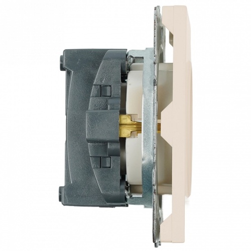 Розетка с заземлением и со шторкой, без рамки Stekker Эмили 49906 в Нижнем Новгороде фото 4