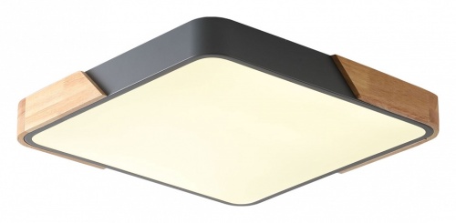 Накладной светильник Zortes Alberro ZRS.01288.24 в Нижнем Новгороде фото 3