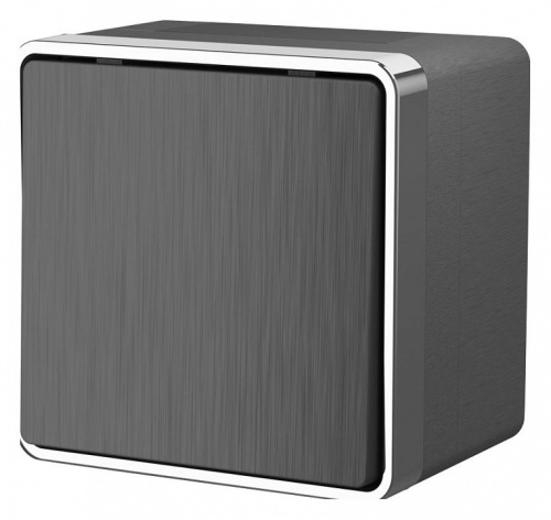 Выключатель одноклавишный влагозащищенный Werkel Gallant (графит рифленый) W5010204 в Нижнем Новгороде