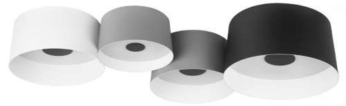 Потолочная люстра Loft it Duo 10360/4 в Нижнем Новгороде