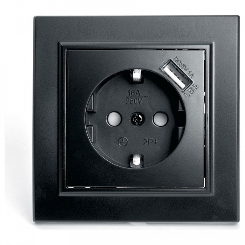 Розетка с заземлением и со шторкой и USB Stekker Эрна 39480 в Нижнем Новгороде