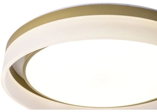 Накладной светильник Zortes Adel ZRS.1200.01 в Нижнем Новгороде фото 12