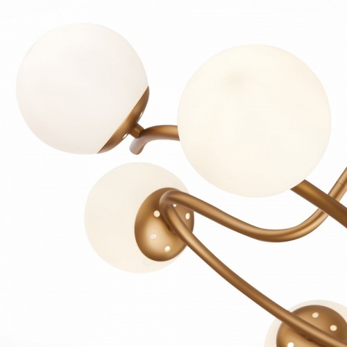 Люстра на штанге EVOLUCE Calabria SLE220602-06 в Нижнем Новгороде фото 2