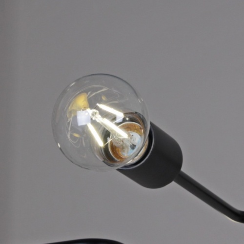 Потолочная люстра ILLUMICO  IL2000-8C-05 BK в Нижнем Новгороде фото 2