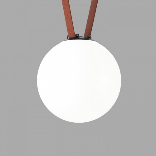 Накладной светильник Denkirs Belty Orb DK5554-BK в Нижнем Новгороде фото 5