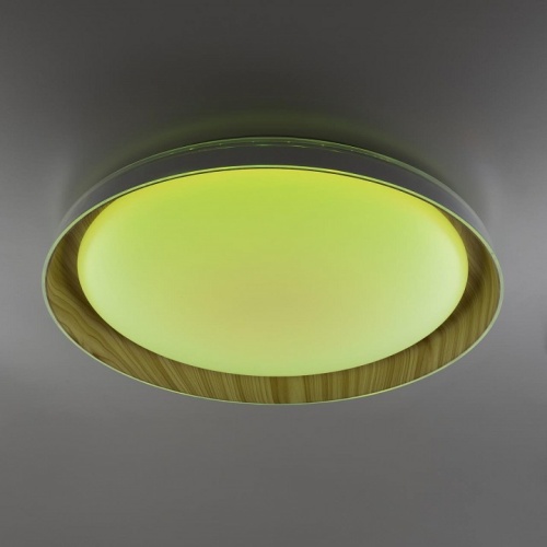 Накладной светильник Citilux MEGA CL752452G в Ермолино фото 8