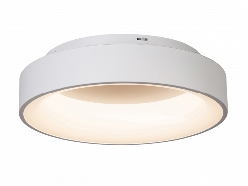 Накладной светильник MyFar Shannon MR2194-1PL в Нижнем Новгороде фото 6