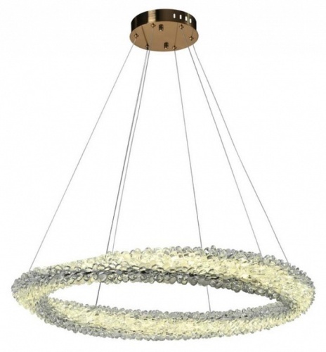 Подвесной светильник Aployt Marcelina APL.853.03.88 в Нижнем Новгороде фото 3