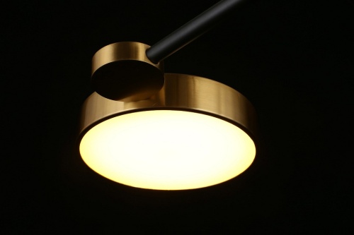 Потолочная люстра Aployt Ines APL.043.07.65 в Нижнем Новгороде фото 3