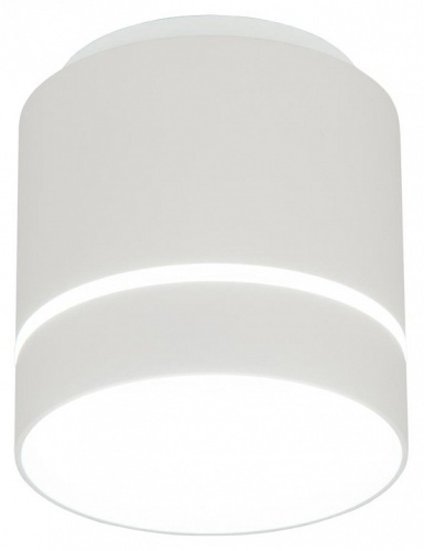 Накладной светильник Citilux Борн CL745020N в Туапсе