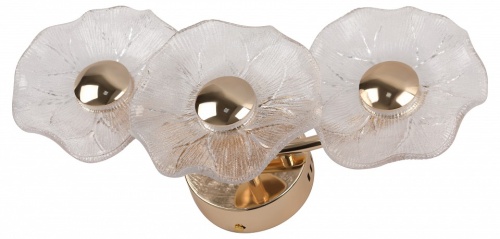 Накладной светильник Rivoli Shannon Б0061948 в Нижнем Новгороде фото 4