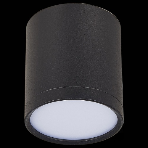 Накладной светильник ST-Luce Rene ST113.432.05 в Кропоткине фото 2