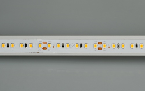 Лента IC2-20000 24V Day4000 2x 12mm (2835, 120 LED/m, Long) (Arlight, 9.6 Вт/м, IP20) в Городце фото 6