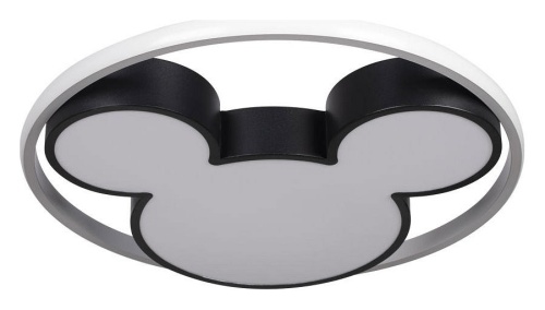 Накладной светильник Loft it Mike 10165 в Нижнем Новгороде фото 4