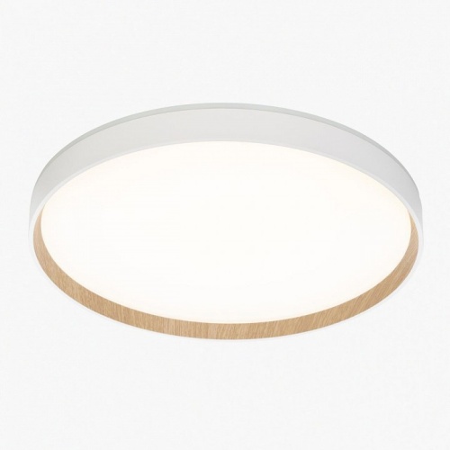 Накладной светильник Citilux ETALON CL750400R в Нижнем Новгороде фото 13