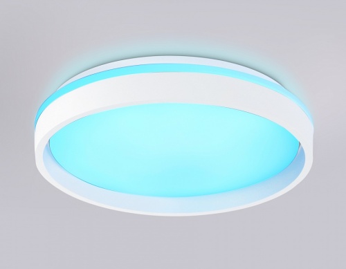 Накладной светильник Ambrella Light FZ FZ601 в Нижнем Новгороде фото 2