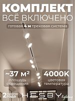 Комплект трековый Hesby Lighting Skylite №13 HSBL_kompl_S013_VI4W4K в Нижнем Новгороде